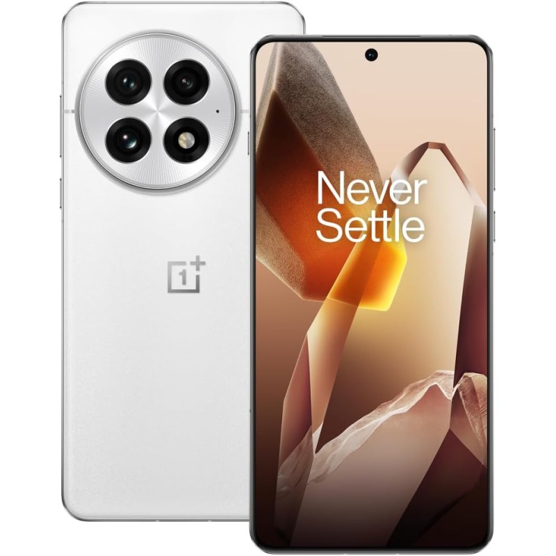 OnePlus 13