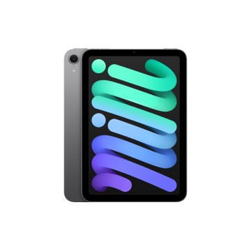 iPad mini
